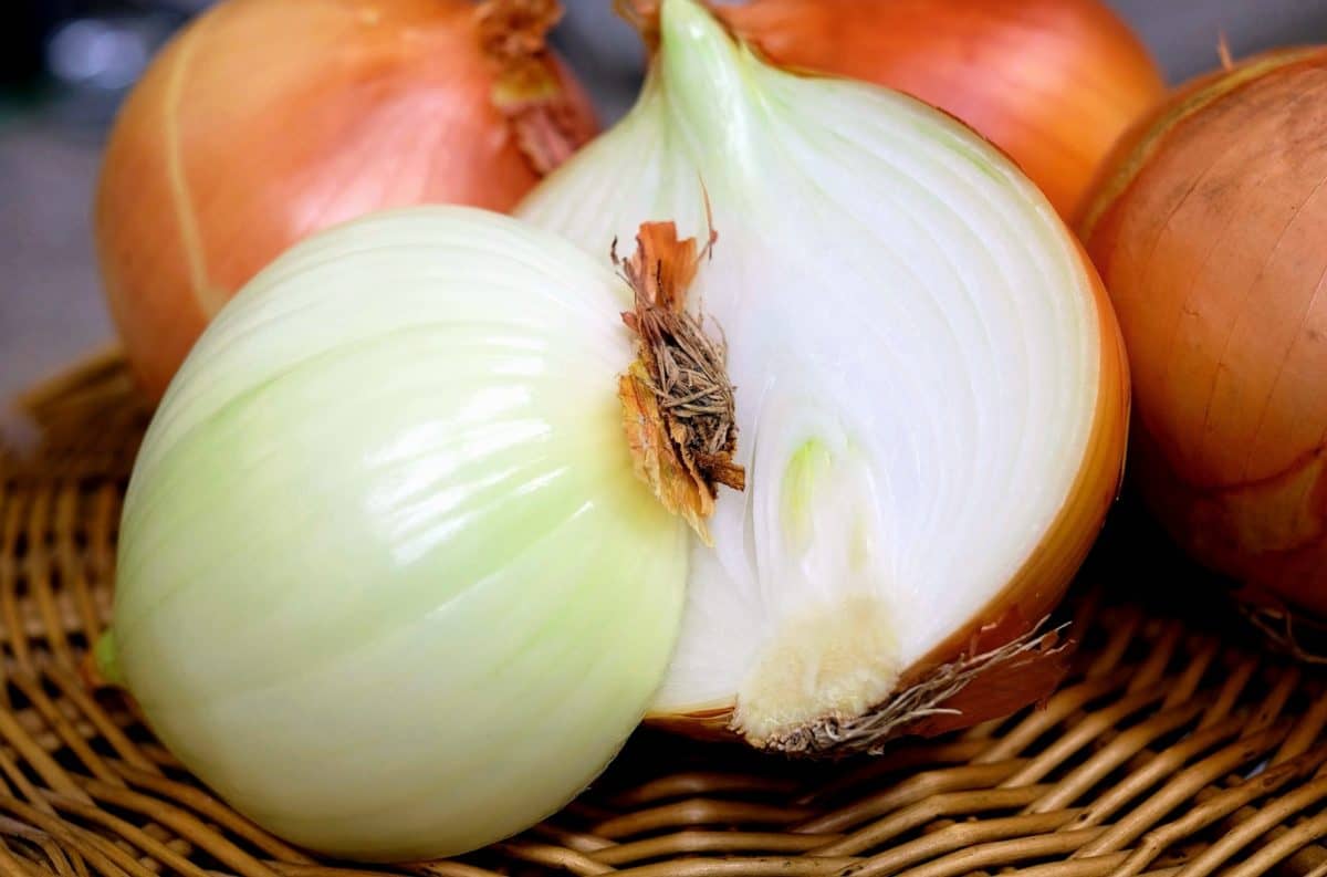 How to store onions in the fridge?