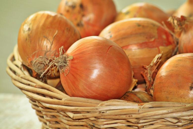 When do you know when an onion has gone bad?