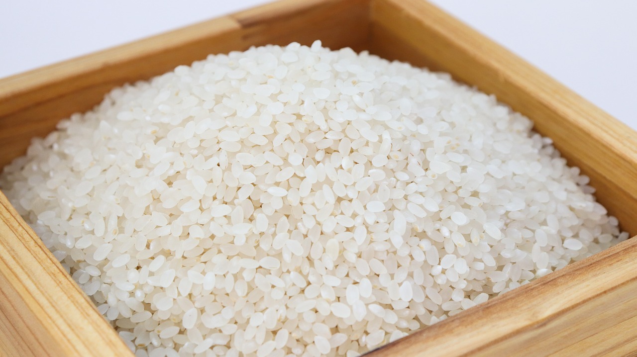 What is rice?